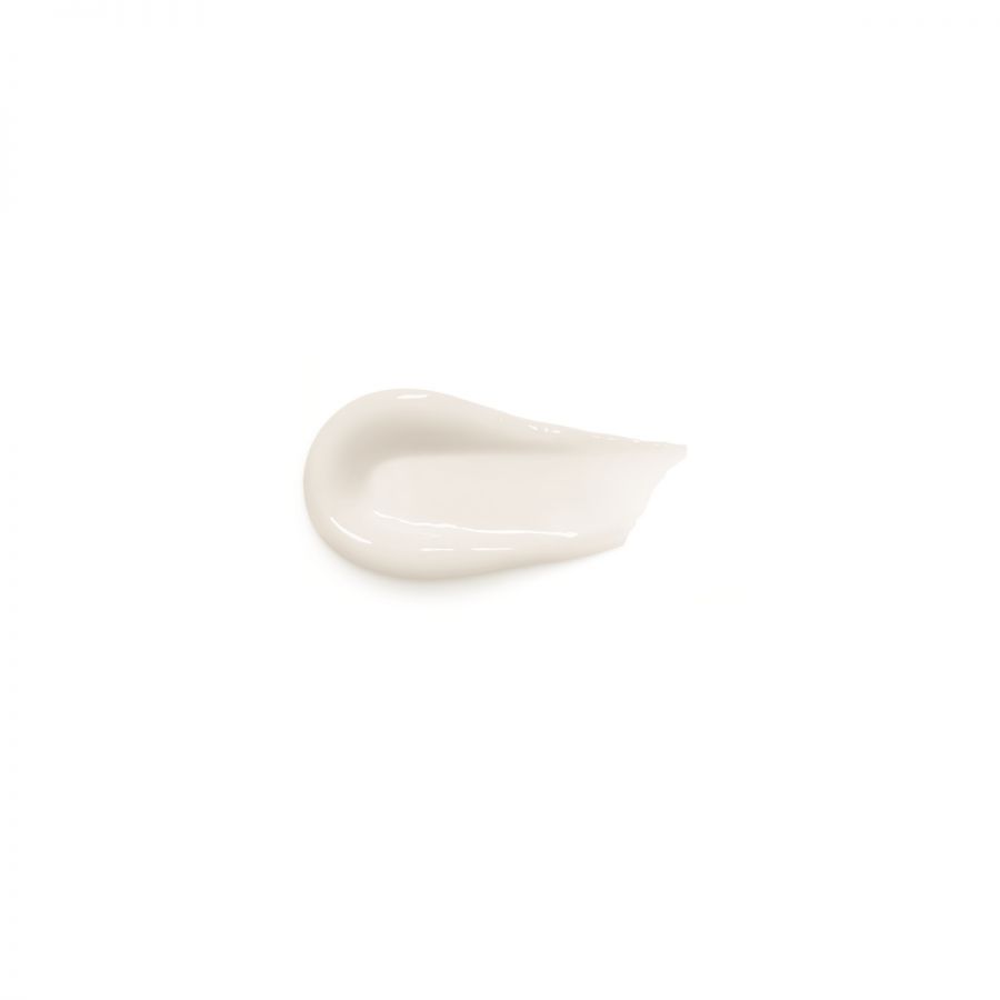 Skin Renaissance Night Cream Multi-Corrective Replumping Cream